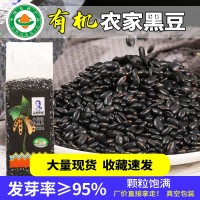 山西有機(jī)黑豆農(nóng)家真空裝腎形黃心黑豆500g五谷雜糧非綠心黑豆批發(fā)