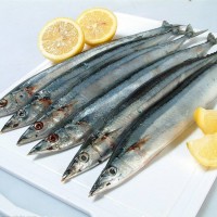 海鮮水產(chǎn)品秋刀魚 冰凍新鮮水產(chǎn)秋刀魚 優(yōu)質(zhì)冷凍秋刀魚 野生 特價