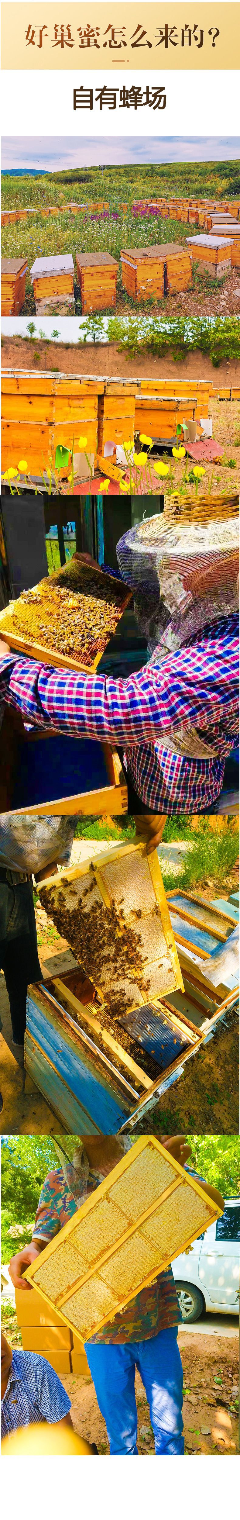 蜂巢蜜詳情2.jpg