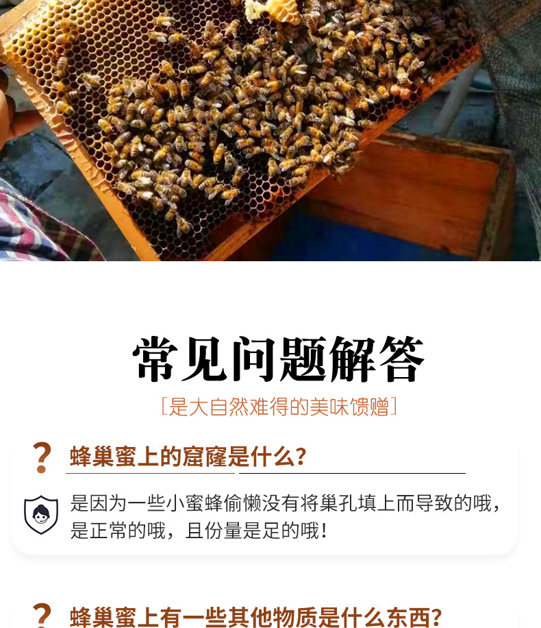 蜂巢蜜_14.jpg