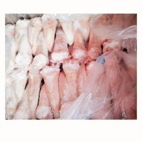 豬尾巴20斤/件精制豬尾冷凍新鮮豬尾巴煲湯 鹵肉店中長尾無根豬尾