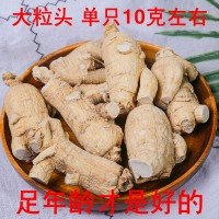 西洋參段個(gè)花旗參短支粒頭 滋補(bǔ)參可切片代打粉 產(chǎn)地直銷批發(fā)