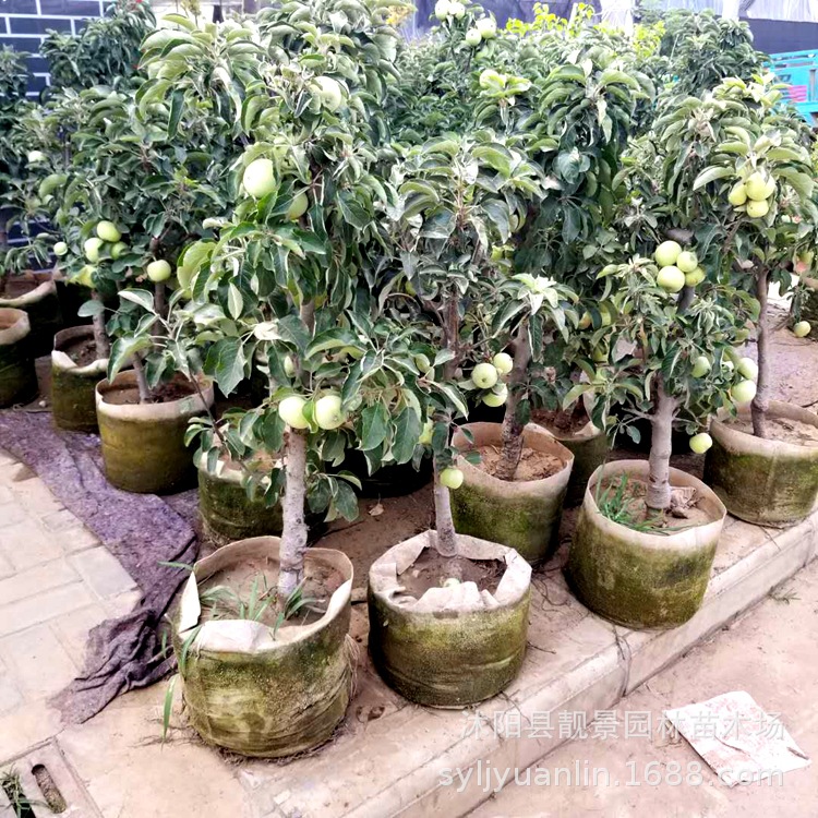 微信圖片_20190708215231