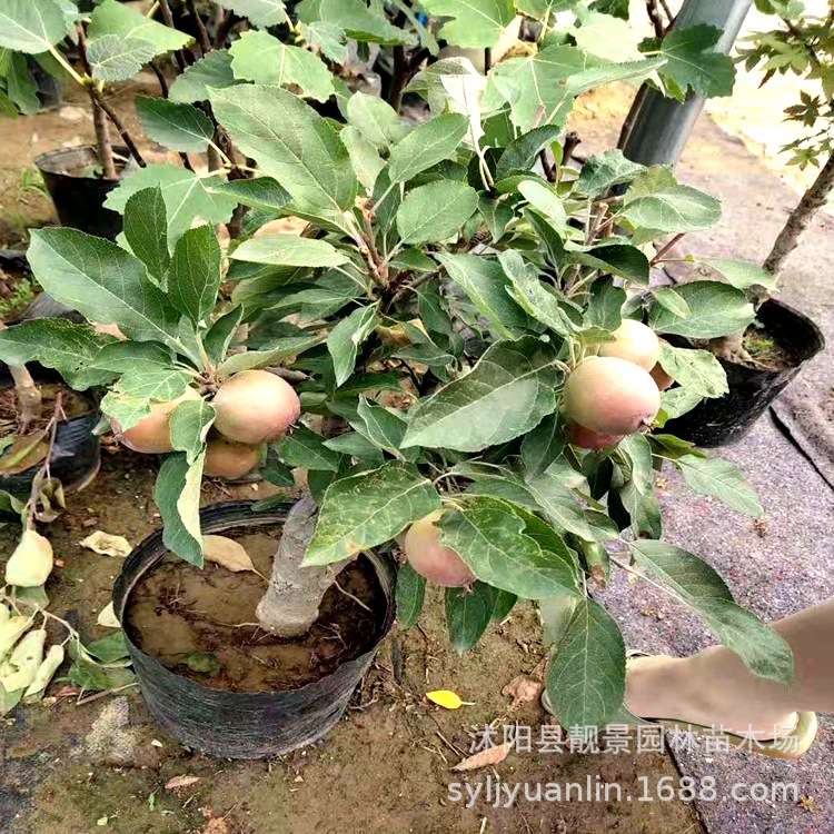 微信圖片_20190716111746