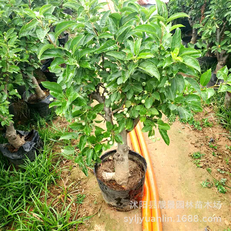 微信圖片_20200601205125