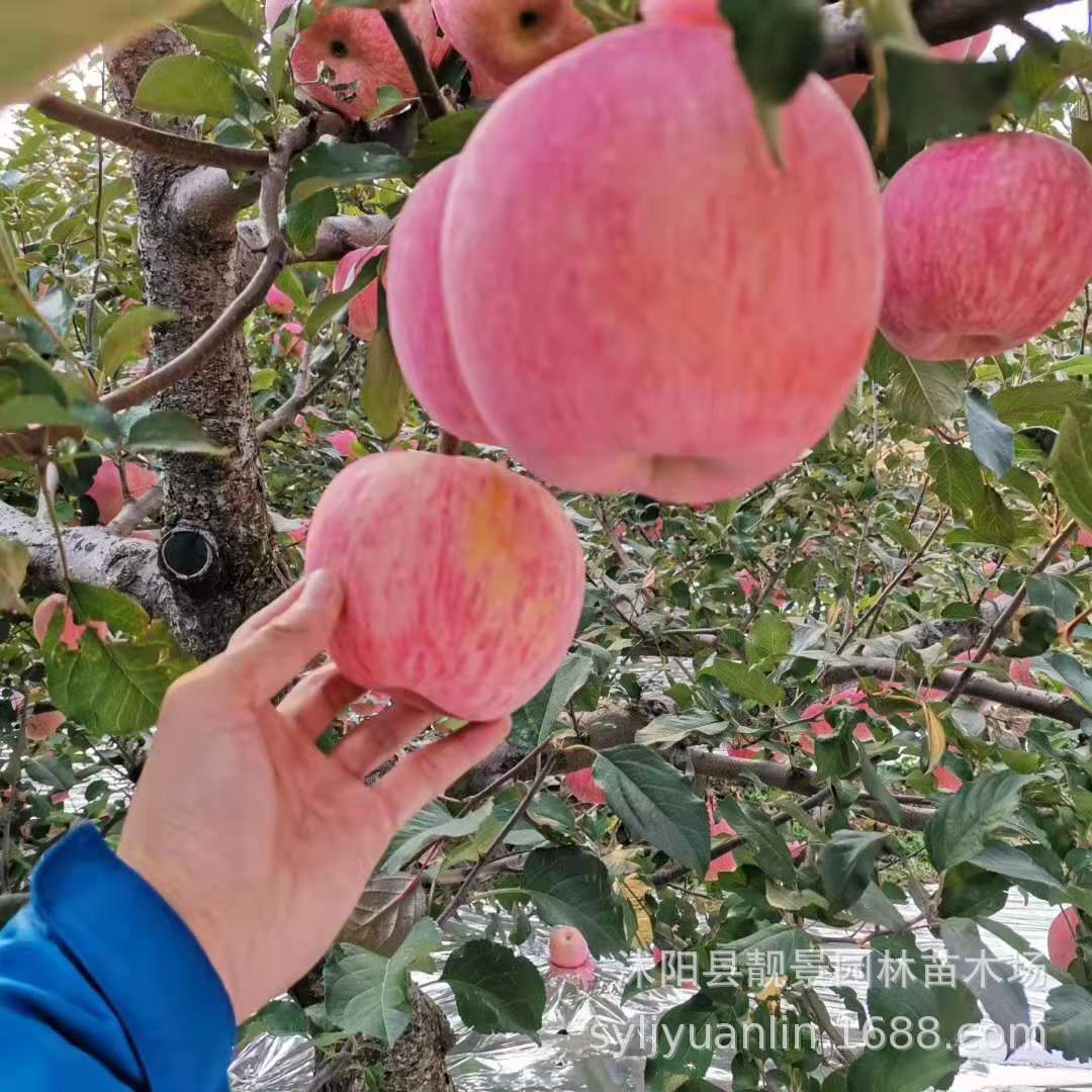 微信圖片_20191018214150