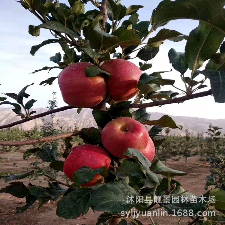 微信圖片_20190825153115