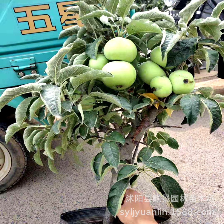 微信圖片_20190716111833