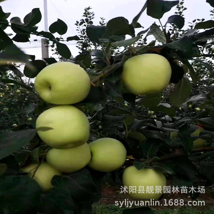 微信圖片_20190825153138