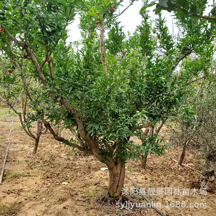 微信圖片_20200804143601