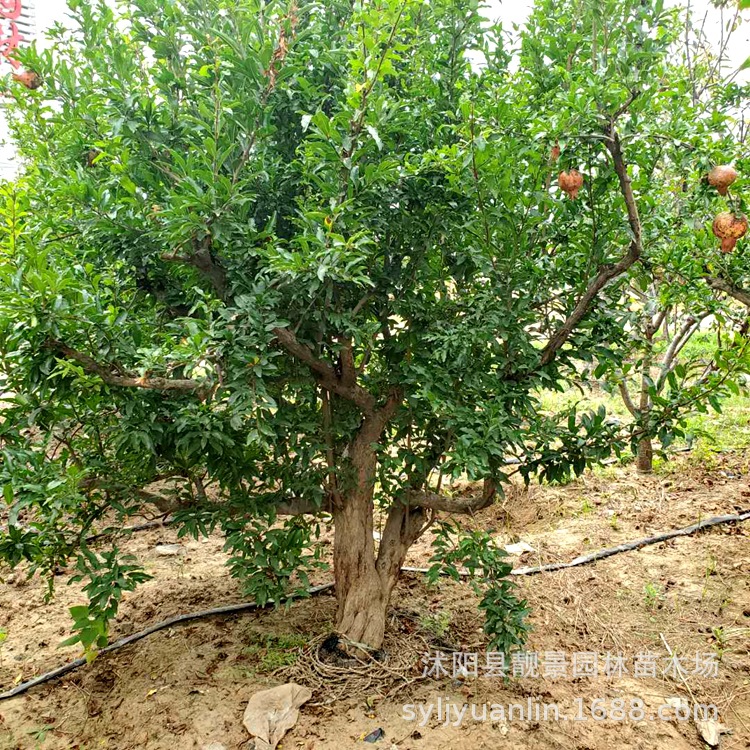 微信圖片_20200804144458