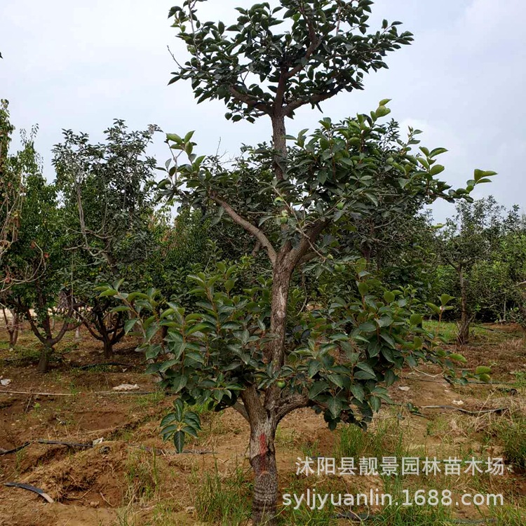 微信圖片_20200804143612