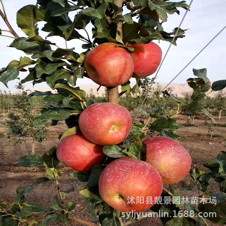 微信圖片_20200804143544