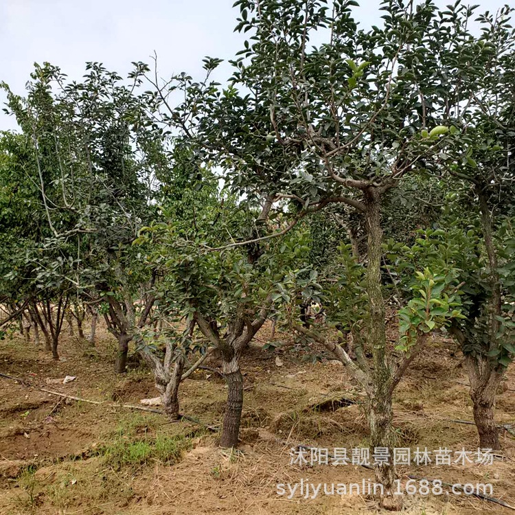 微信圖片_20200804143551