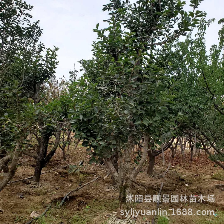 微信圖片_20200804143558