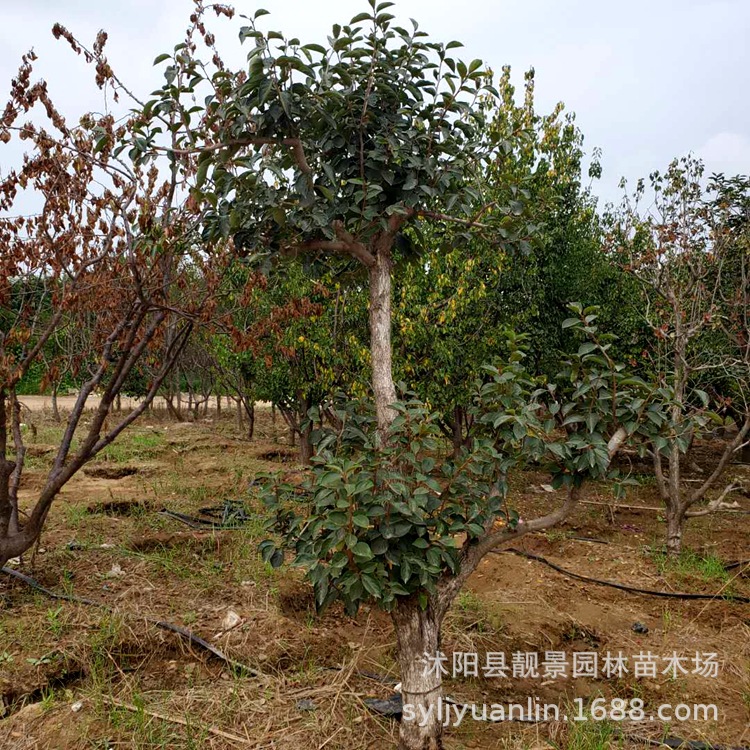 微信圖片_20200804143615