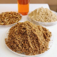 黃粉蟲粉 面包蟲油 動(dòng)物蛋白粉 大麥蟲干 飼料營養(yǎng)添加劑替代魚粉
