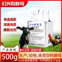 【生物飼料熱賣】好利菌500g天然活性飼料酵母 家禽動(dòng)物水產(chǎn)養(yǎng)殖