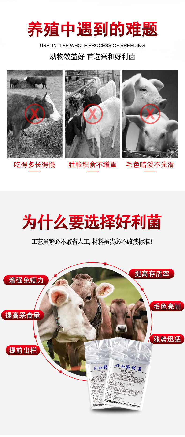 生物飼料詳情頁(yè)_02.jpg