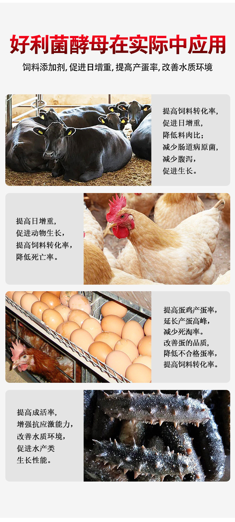 生物飼料詳情頁(yè)_09.jpg