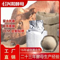 廠家直銷 興和飼料酵母 酵母粉 飼料添加劑促生長(zhǎng)催肥提高500g