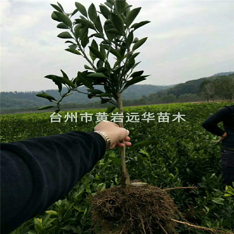 微信圖片_20180622085847