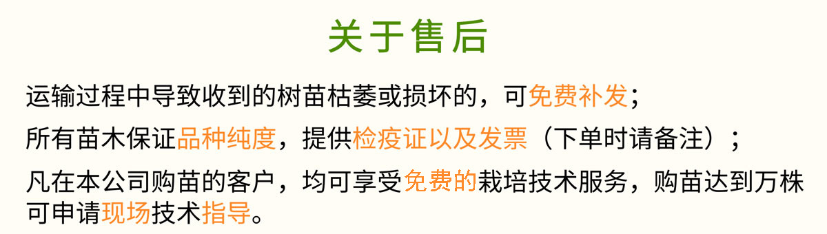 通用詳情頁_05.jpg