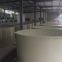 PP工廠化高密度塑料養(yǎng)魚(yú)池室內(nèi)泥鰍養(yǎng)殖池 ZPT116