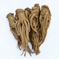 岷縣當(dāng)歸個當(dāng)歸全當(dāng)歸批發(fā)當(dāng)歸個子整條當(dāng)歸 250克2件包郵