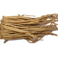 甘肅無硫天然中藥材種植黨參中藥材大量批發(fā)產(chǎn)地發(fā)貨規(guī)格齊全