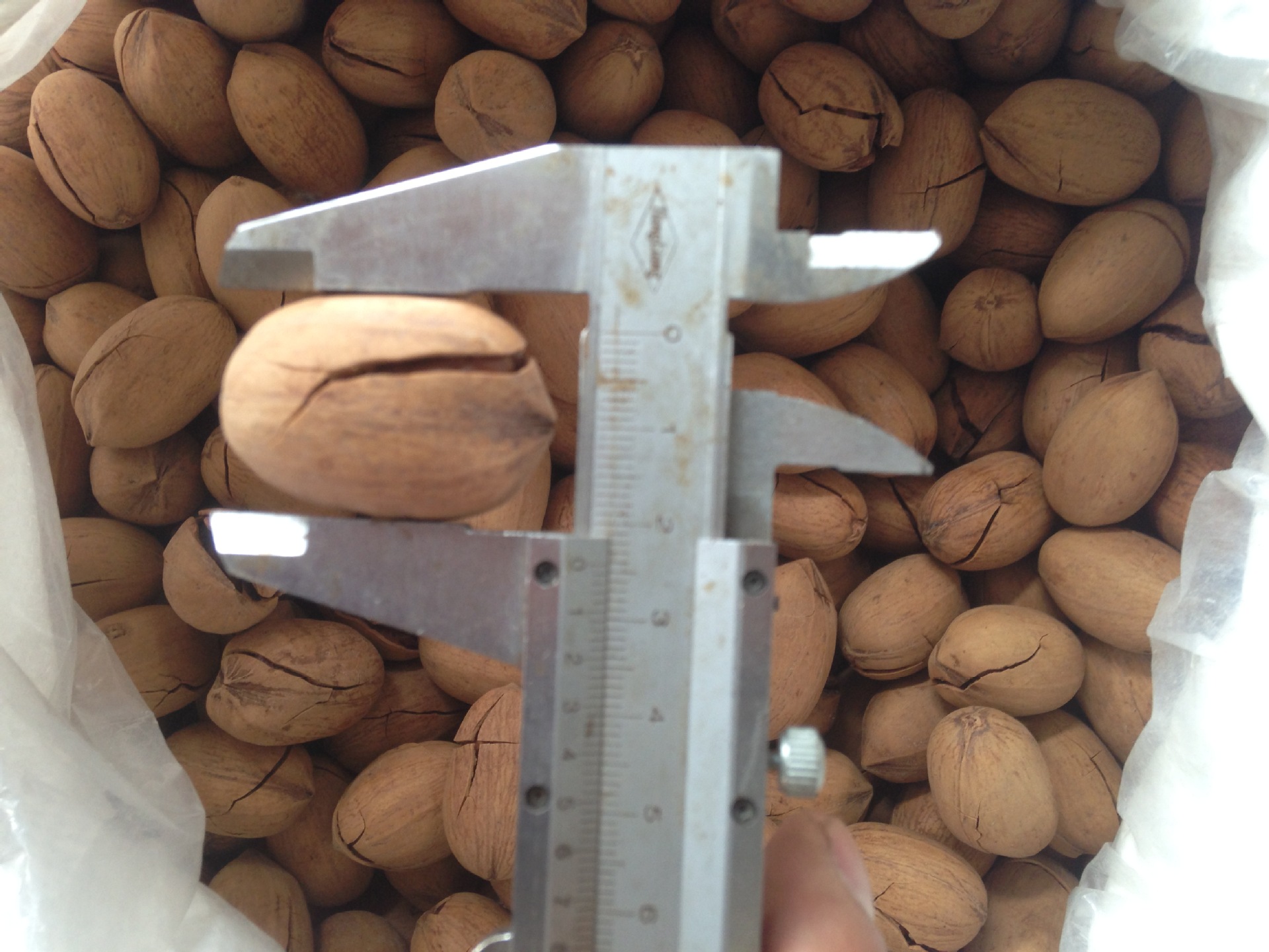 QQ圖片20150622101423