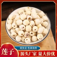 產(chǎn)地貨源新貨散裝500g蓮子煲湯無芯湘蓮子去芯磨皮白蓮子干貨批發(fā)