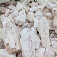 供應(yīng)礦石類中藥材原料 生龍骨 白龍骨 五花龍骨 各種規(guī)格