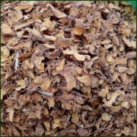 批發(fā)中藥材 射干 射干片 多種規(guī)格