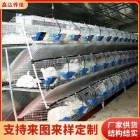 免清糞階梯兔籠濟(jì)南廠家 三層九窩種兔免清糞階梯籠 鍍鋅階梯兔籠