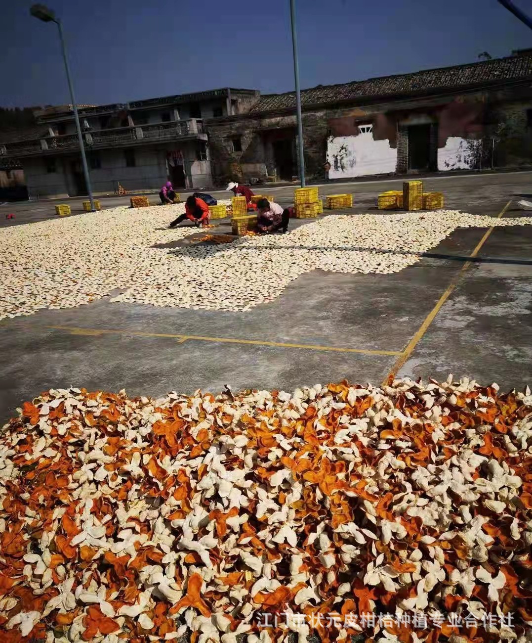 微信圖片_20211007153928