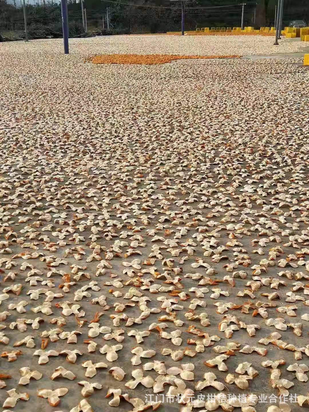 微信圖片_20211007153923