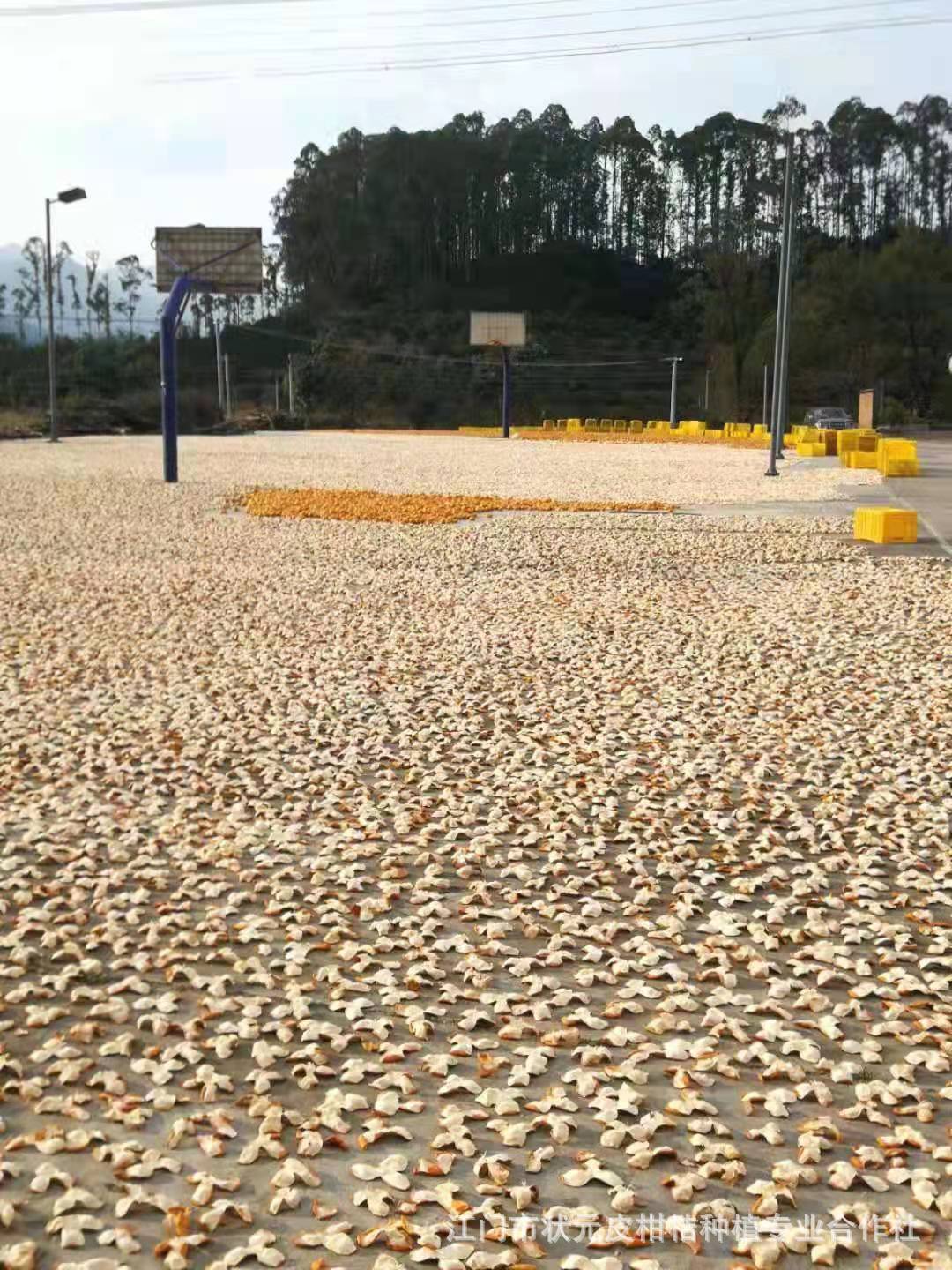 微信圖片_20211007153917