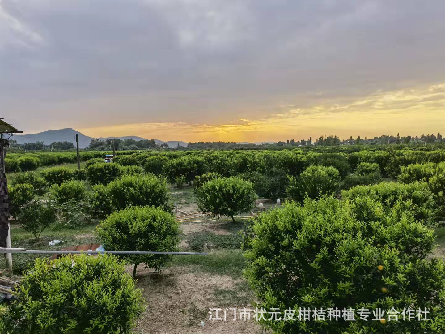 微信圖片_20211007164902