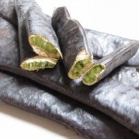 產(chǎn)地直銷中藥材皂角大皂角種植基地直發(fā)皂角種子