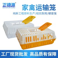 批發(fā) 雞運(yùn)輸籠 雞用周轉(zhuǎn)箱 運(yùn)輸雞籠 雞鴨鴿兔周轉(zhuǎn)箱運(yùn)輸籠 雞框