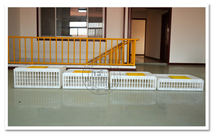 雞鴨運(yùn)輸籠