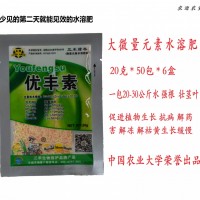 水溶肥 大量元素 全能型水溶肥 瓜果蔬 中國農(nóng)業(yè)大學出品 20g