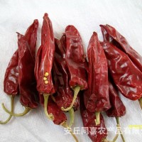 大量供應(yīng)出口級辣椒干（國內(nèi)所有品種）2013年新貨