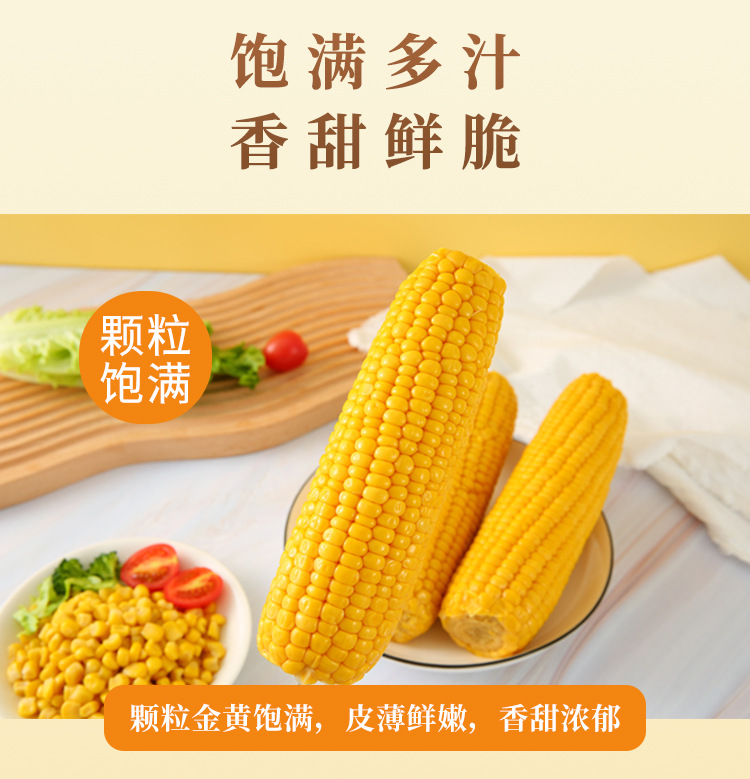 倦鳥(niǎo)小廚-玉米棒-詳情頁(yè)_05.jpg