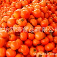 保鮮西紅柿出口濰坊新濤食品（資質(zhì)工廠、常年加工）