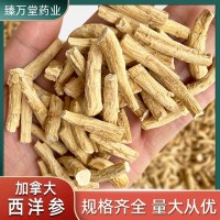 批發(fā)加拿大西洋參 粗粒小節(jié)軟質(zhì)花旗參段參尾可磨粉 西洋參丁參腿