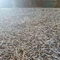 廠家直供沙里鉆魚干 海鮮干貨批發(fā) 大量魚干品種齊全 價格實惠