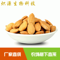 美國生巴旦木仁 扁桃仁 巴坦木 巴達(dá)木 散裝整箱22.68KG 南北疆杏