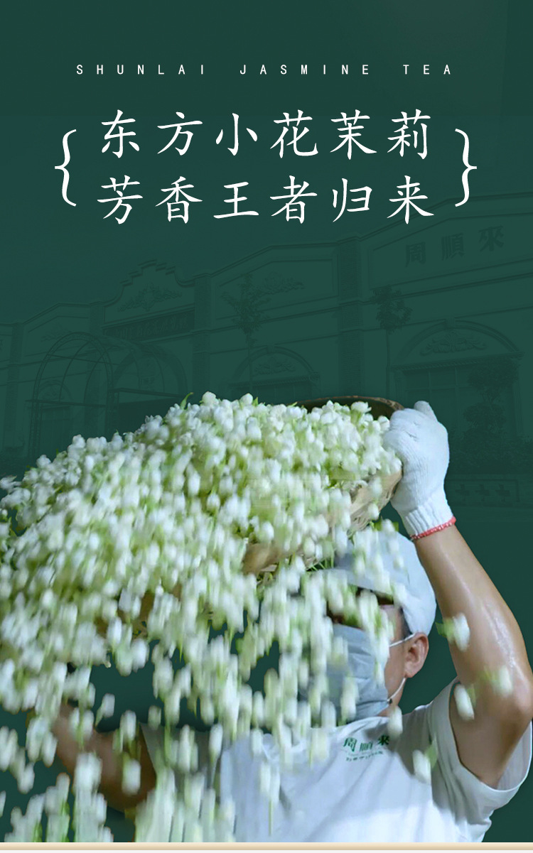 橫縣茉莉花茶-詳情20210319_04